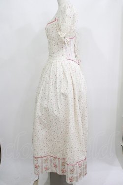 画像2: LACEMADE / 「初夏のローズガーデン」コルセットドレス L オフ H-25-06-20-008-GO-OP-NS-ZH