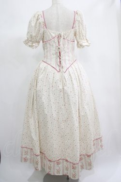 画像3: LACEMADE / 「初夏のローズガーデン」コルセットドレス L オフ H-25-06-20-008-GO-OP-NS-ZH