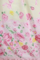 画像4: Angelic Pretty / Powder Roseワンピース Free イエロー H-25-06-23-026-AP-OP-NS-ZH (4)