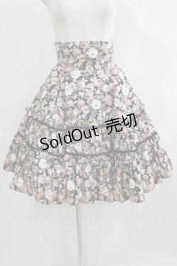画像1: Mary Magdalene / エグランティーヌスカート Free ブラック H-25-06-23-028-CL-SK-NS-ZH