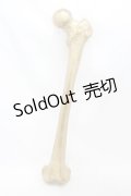 THE BLACKENED TEETH / Femur Bone Wall Hanging  ゴールド H-25-06-25-1001-0-ZA-KB-ZH