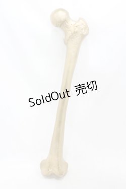 画像1: THE BLACKENED TEETH / Femur Bone Wall Hanging  ゴールド H-25-06-25-1001-0-ZA-KB-ZH