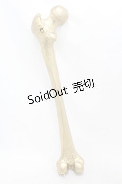 画像2: THE BLACKENED TEETH / Femur Bone Wall Hanging  ゴールド H-25-06-25-1001-0-ZA-KB-ZH
