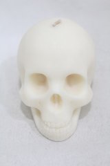 THE BLACKENED TEETH / Skull Candle  ホワイト H-25-06-25-1015-0-ZA-KB-ZH