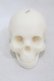 画像1: THE BLACKENED TEETH / Skull Candle  ホワイト H-25-06-25-1015-0-ZA-KB-ZH (1)