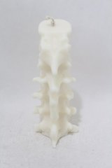 THE BLACKENED TEETH / Spine Candle  ホワイト H-25-06-25-1021-0-ZA-KB-ZH