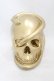 画像1: THE BLACKENED TEETH / Snake Skull Ornament  ゴールド H-25-06-25-1003-0-ZA-KB-ZH (1)