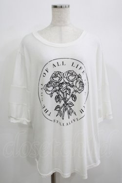 画像1: HELL CAT PUNKS / ローズプリントメッシュ切替カットソー  白 H-25-06-25-073-PU-TO-KB-ZH