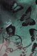 画像4: NieR Clothing / GREEN BUTTERFLY SHEER SKIRT  グリーン H-25-06-27-1013-PU-SK-KB-ZH (4)
