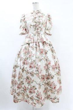 画像1: Victorian maiden / afternoonベリーヴィクトリアンサマードレス Free ローズ H-25-06-30-1012-CL-OP-NS-ZH