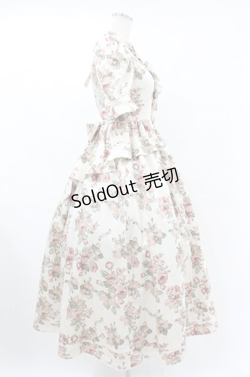 画像3: Victorian maiden / afternoonベリーヴィクトリアンサマードレス Free ローズ H-25-06-30-1012-CL-OP-NS-ZH (3)