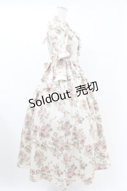 画像3: Victorian maiden / afternoonベリーヴィクトリアンサマードレス Free ローズ H-25-06-30-1012-CL-OP-NS-ZH