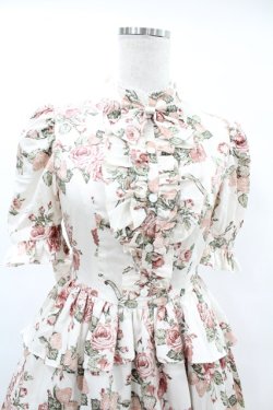 画像4: Victorian maiden / afternoonベリーヴィクトリアンサマードレス Free ローズ H-25-06-30-1012-CL-OP-NS-ZH