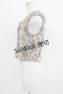 画像2: Jane Marple / Crown & Lily Gobelin Bustier M ベージュ H-25-07-02-1054-JM-TO-NS-ZH