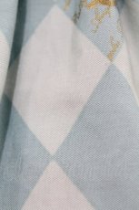 画像7: Angelic Pretty / Chess Chocolate ジャボ付ジャンパースカート Free ミント H-25-07-03-026-AP-OP-NS-ZH (7)