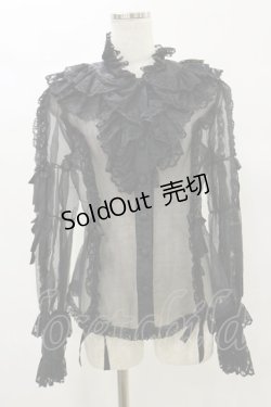 画像1: metamorphose / ラッセルレースオーガンジィブラウス Free ブラック H-25-07-03-1026-ME-BL-NS-ZH