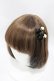 画像1: m petit by misako / AM*NI4Pクリップ  ブラック H-25-07-06-1006-LO-AC-NS-ZH (1)