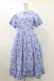 画像1: Jane Marple / Picnic cloth joyfulドレス M ブルー H-25-07-10-048-JM-OP-KB-ZH (1)