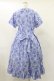 画像2: Jane Marple / Picnic cloth joyfulドレス M ブルー H-25-07-10-048-JM-OP-KB-ZH (2)