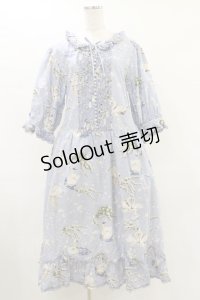PINK HOUSE / SWAN LAKEプリントミディワンピース Free サックス H-25-07-11-060-LO-OP-NS-ZH