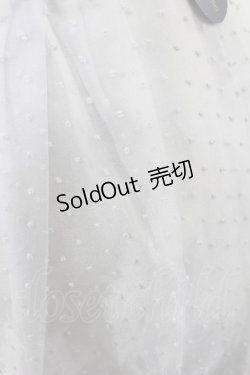 画像3: an another angelus / ドットオーガンジータックスカート Free BLUE GRAY H-25-07-14-1018-CA-SK-NS-ZH