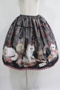Enchantlic Enchantilly / Queen Cat〜秘密の書斎〜スカート Free ブラック H-25-07-14-023-LO-SK-NS-ZH