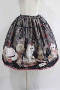 Enchantlic Enchantilly / Queen Cat〜秘密の書斎〜スカート Free ブラック H-25-07-14-023-LO-SK-NS-ZH
