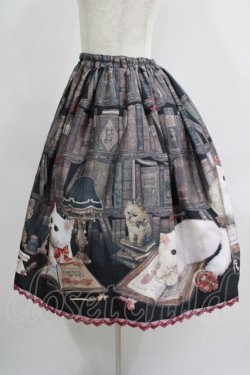 画像2: Enchantlic Enchantilly / Queen Cat〜秘密の書斎〜スカート Free ブラック H-25-07-14-023-LO-SK-NS-ZH