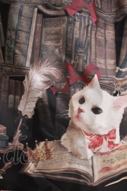 画像4: Enchantlic Enchantilly / Queen Cat〜秘密の書斎〜スカート Free ブラック H-25-07-14-023-LO-SK-NS-ZH