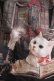 画像4: Enchantlic Enchantilly / Queen Cat〜秘密の書斎〜スカート Free ブラック H-25-07-14-023-LO-SK-NS-ZH (4)