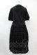 画像2: Jane Marple / ヴィンテージストライプレースコラボレーションドレス  ブラック×ブラック H-25-07-15-1027-JM-OP-KB-ZH (2)