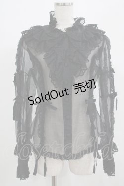 画像1: metamorphose / ラッセルレースオーガンジィブラウス Free ブラック H-25-07-17-042-ME-BL-NS-ZH