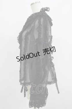 画像2: metamorphose / ラッセルレースオーガンジィブラウス Free ブラック H-25-07-17-042-ME-BL-NS-ZH