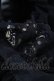 画像5: metamorphose / ラッセルレースオーガンジィブラウス Free ブラック H-25-07-17-042-ME-BL-NS-ZH