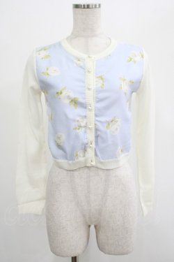 画像1: JESUS DIAMANTE / アントーニアカーデ 38 グランヴィルホワイトローズ柄サックス H-25-07-21-033-JE-TO-NS-ZH
