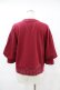 画像2: Jane Marple Dans Le Salon / Half puffy sleeve sweatshirt  ワイン H-25-07-25-1056-JM-TO-KB-ZH (2)