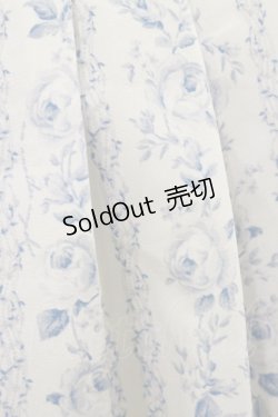 画像3: an another angelus / ストライプアンティークローズ柄スカート Free OFF×BL H-25-07-30-059-CA-SK-NS-ZH