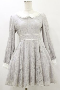 画像1: evelyn / 総レースワンピース Free グレー H-25-07-30-065-LO-OP-NS-ZH