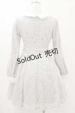 画像2: evelyn / 総レースワンピース Free グレー H-25-07-30-065-LO-OP-NS-ZH