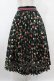画像1: Jane Marple / Fortune Garden Flare Pleats Skirt M ブラック H-25-07-31-1025-JM-SK-KB-ZH (1)