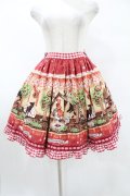 BABY,THE STARS SHINE BRIGHT / My little red riding hood柄ギンガムスカート Free エンジ H-25-08-01-1050-BA-SK-NS-ZH