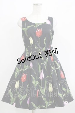 画像1: MILK / チューリーロマンスドレス  ブラックカラフル H-25-12-15-1036-ML-OP-KB-ZH