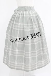 an another angelus / ビッグチェックタックスカート Free L/GREEN H-25-08-03-013-CA-SK-NS-ZH