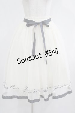 画像1: Fi.n.t / ロゴ刺繍チュールスカート Free OFF×GY H-25-08-03-014-CA-SK-NS-ZH