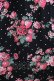 画像4: Jane Marple / Strawberries and flowersラッフルフリルドレス  ブラック H-25-08-04-003-JM-OP-KB-ZH (4)