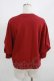 画像3: Jane Marple Dans Le Salon / Half puffy sleeve sweatshirt  ワイン H-25-08-04-044-JM-TO-KB-ZH (3)