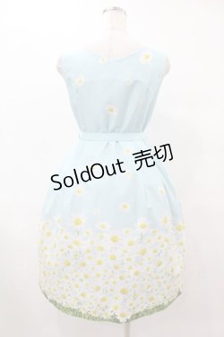 画像2: 【SALE】MILK / Daisy field LADY ドレス  サックスガーデン H-25-12-15-1031-ML-OP-KB-ZT048