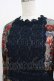 画像4: Jane Marple Dans Le Salon / Art in bloomのレースヨークdayドレス  ネイビー H-25-08-04-010-JM-OP-KB-ZH (4)