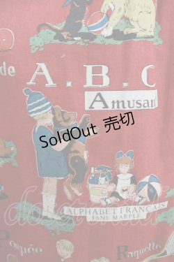 画像4: Jane Marple / Alphabet francaisフラッフィースカート  ローズ H-25-08-07-006-JM-SK-KB-ZH