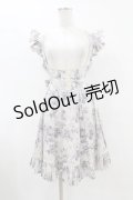 Victorian maiden / ロココブーケフリルエプロンドレス Free ロココグレージュ H-25-08-08-1006-CL-OP-NS-ZH